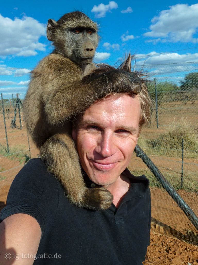 Wildlife-Volunteering-Namibia-71
