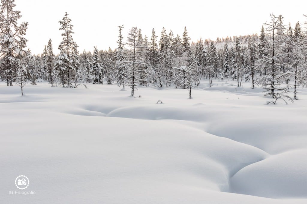 schweden-lappland-polarlicht-reise-66