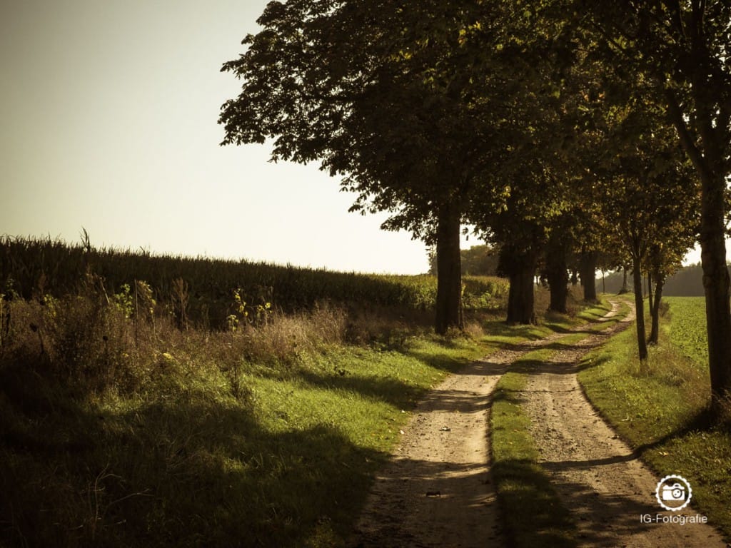 Fotokurs-Bildkomposition-Linien-2