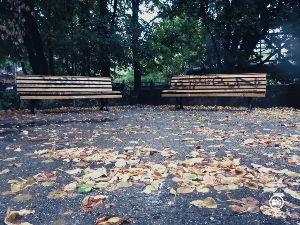Herbst-in-Stadt-1