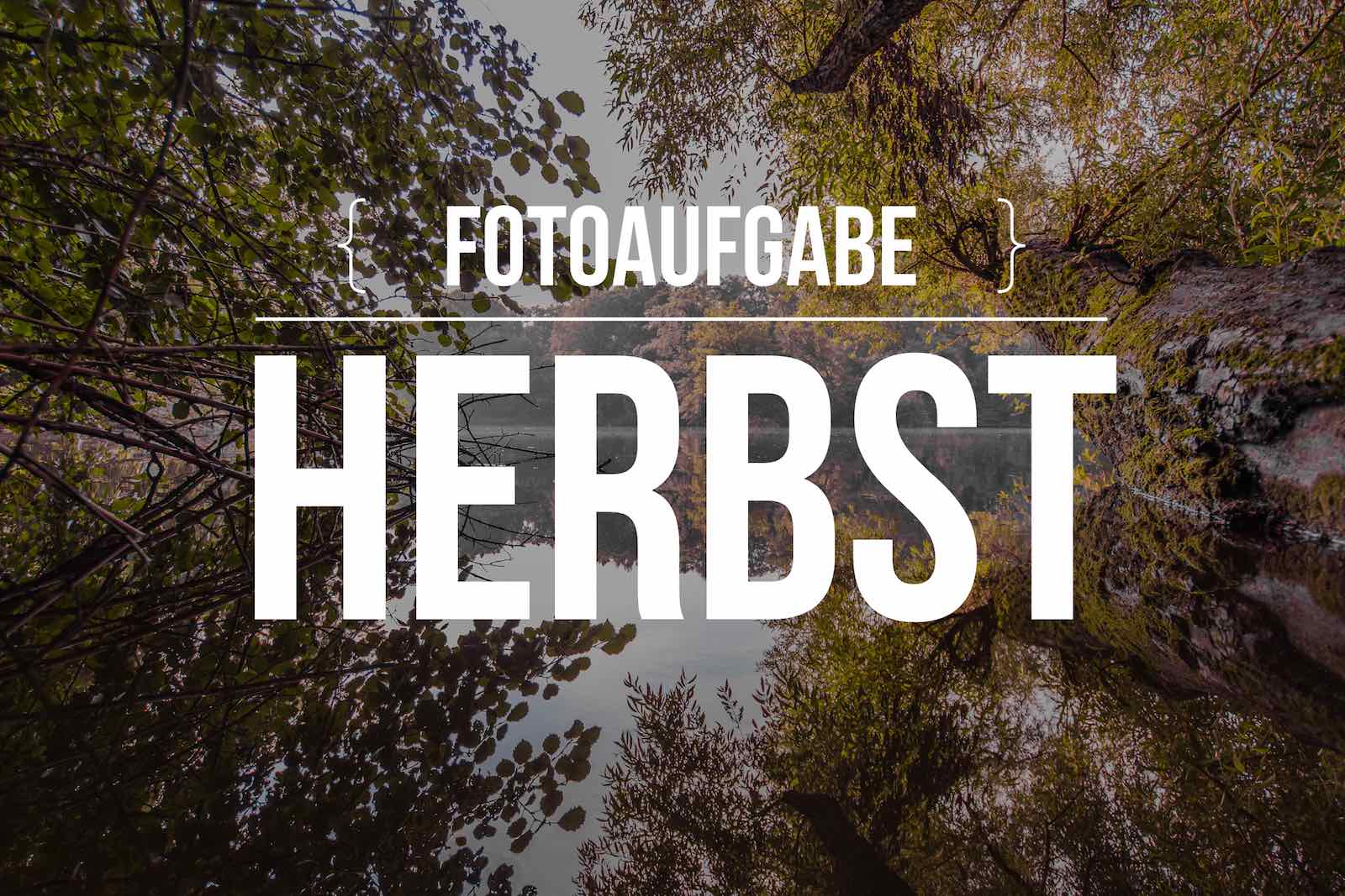 fotoaufgabe-herbst