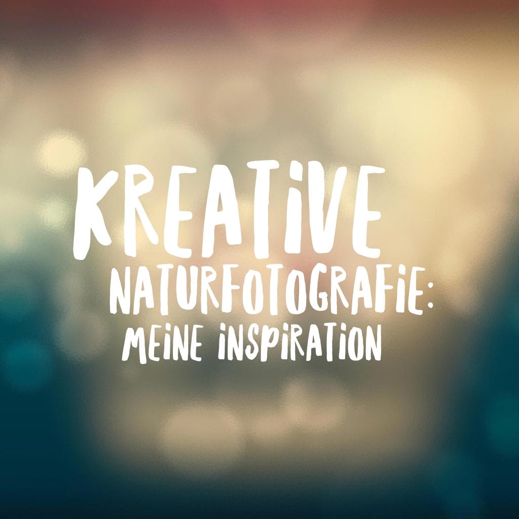 kreative-naturfotografie-inspirations-tipps