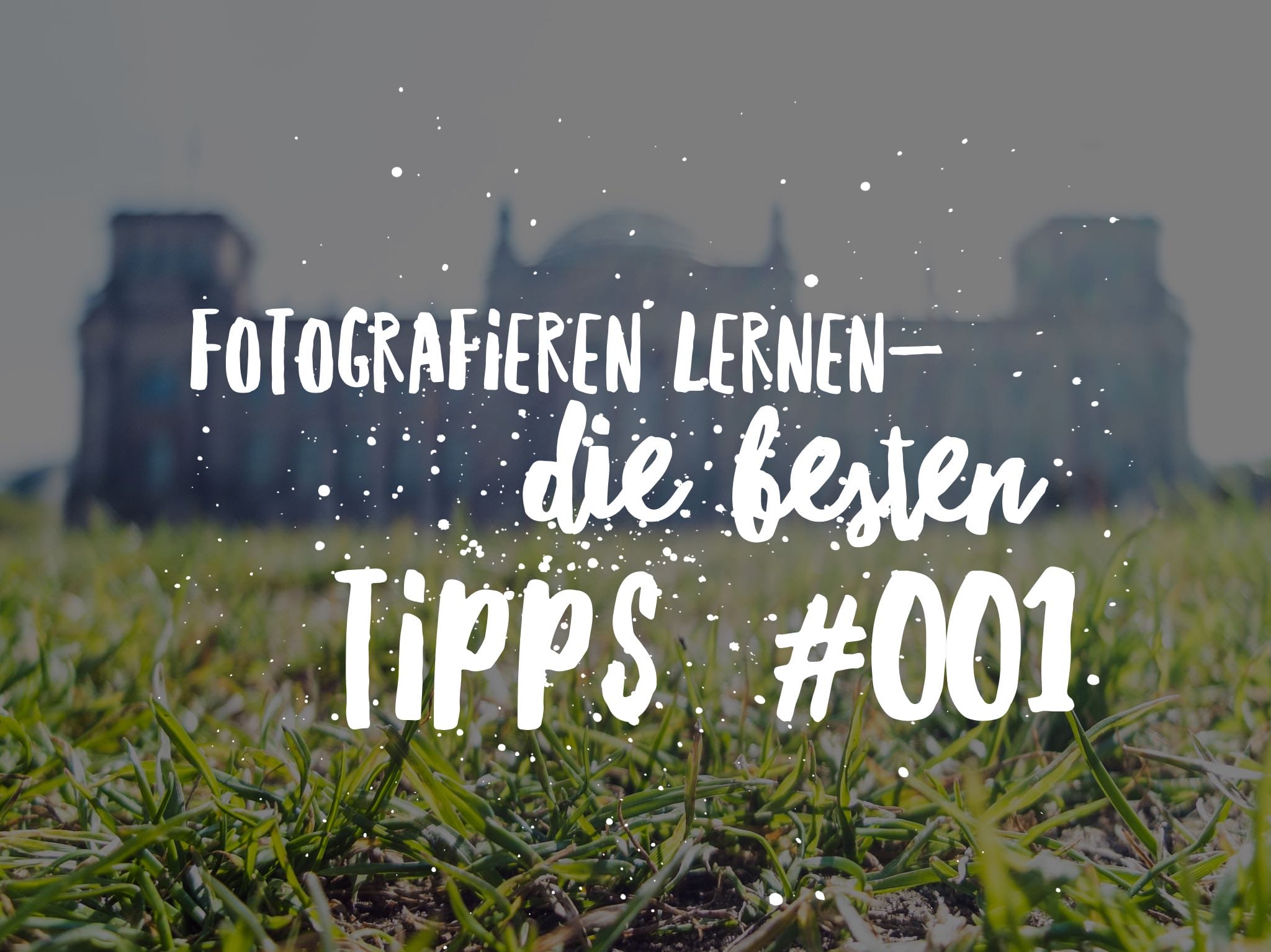 Fotografieren Lernen: Die Besten Tipps - Nummer #001: Schärfe Und Fokus ...