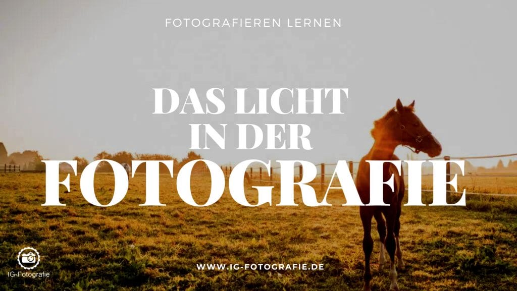Fotografieren lernen ganz einfach: Die Wirkung von Licht verstehen