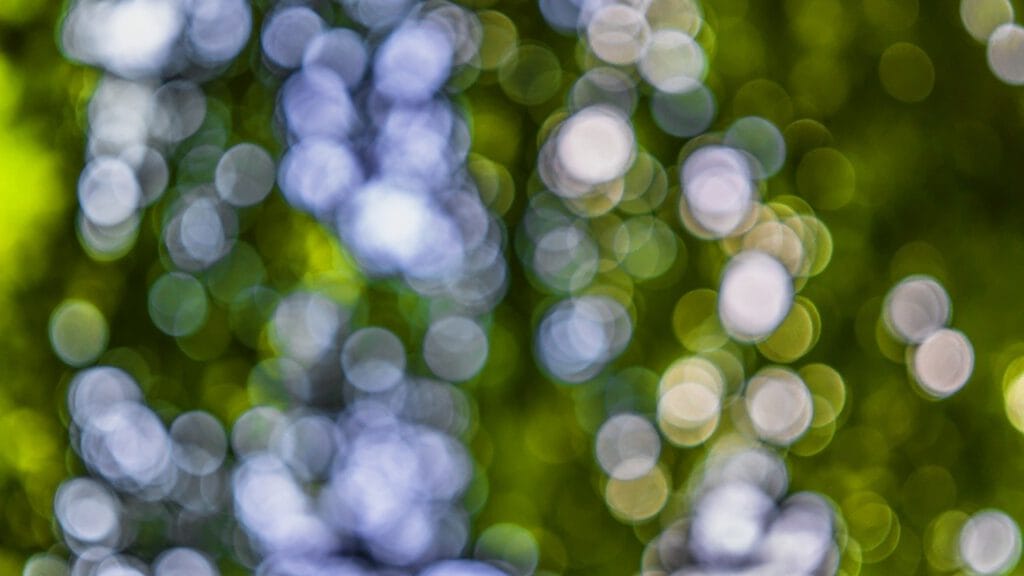 bokeh, blur, background