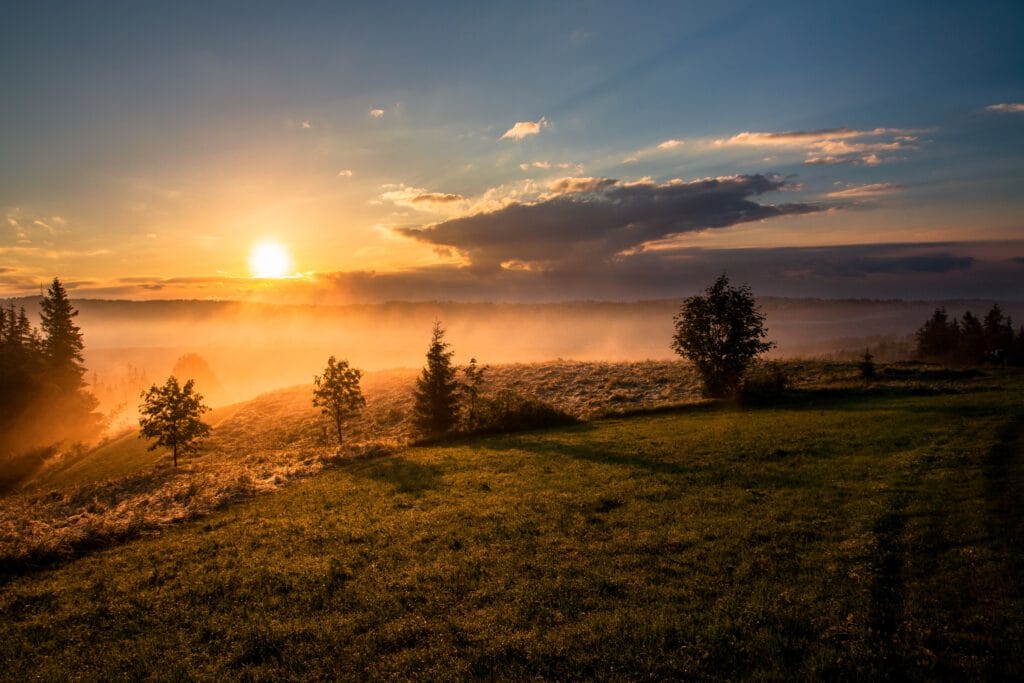 Der Moment der Goldenen Stunde direkt nach Sonnenaufgang ist ein ganz besonderer, fast magischer Moment. 
Früh aufstehen lohnt sich! 
Foto: Dawid Zawiła / unsplash