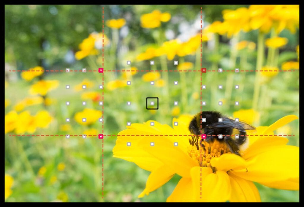 Fotografieren lernen im Online-Fotokurs für Anfänger - Drittel-Regel in der Fotografie