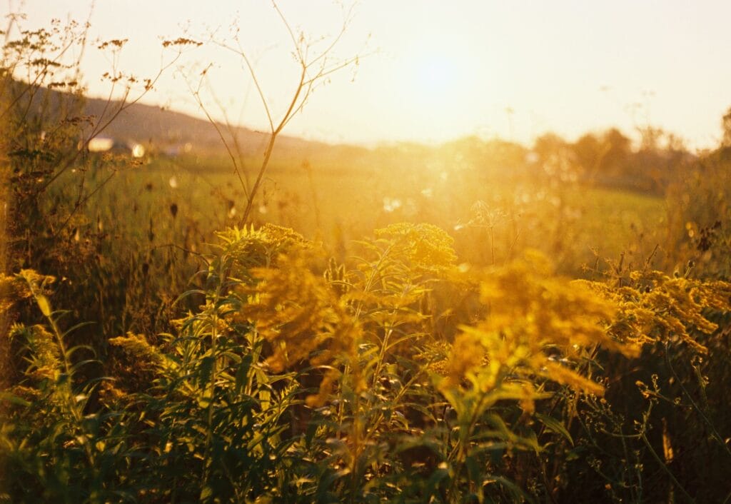 Kreative Fotoideen zur Goldenen Stunde - Foto: Andrei Lasc/unsplash