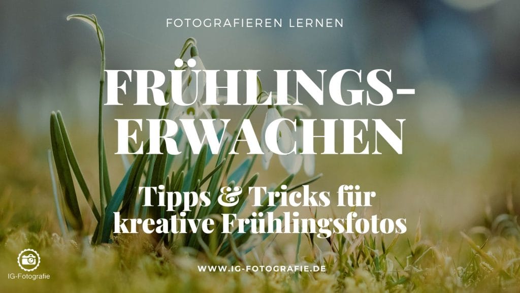 Fruehlingsfotografie - Tipps und Tricks für kreative Frühlingsmotive