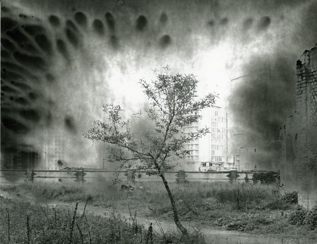 Experimentelle Fotografie - Techniken: Foto: Paolo Monti, Italia, 1980 (Quelle Wikipedia)