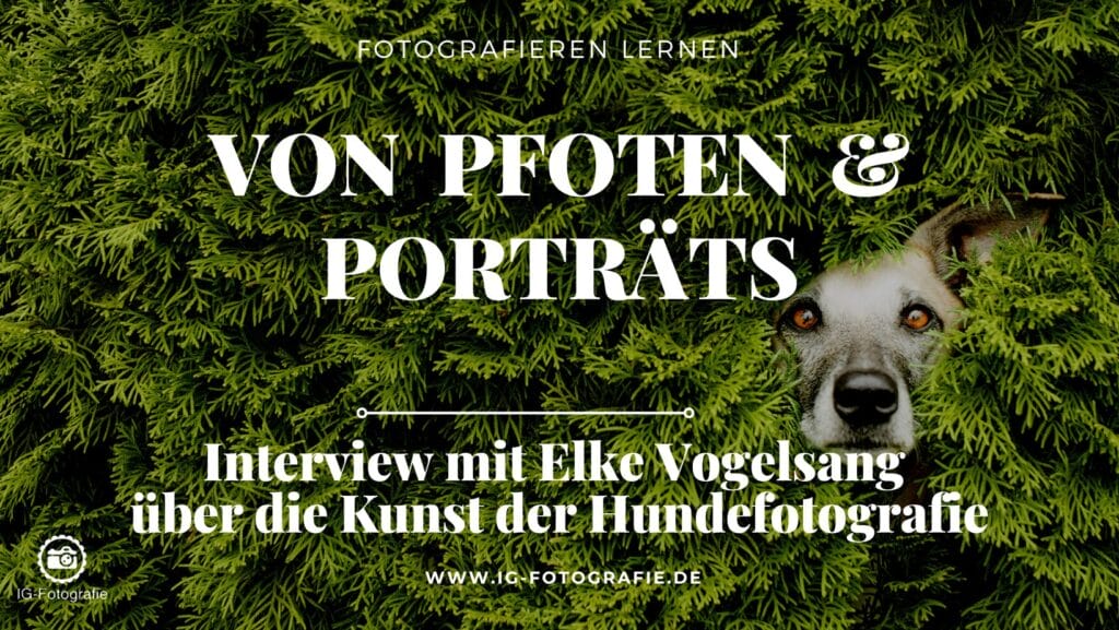 Hundefotografie Tipps - Fotos © Elke Vogelsang