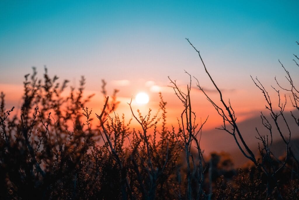 Naturfotografie - die wundervollen Farben des Sonnenaufgangs