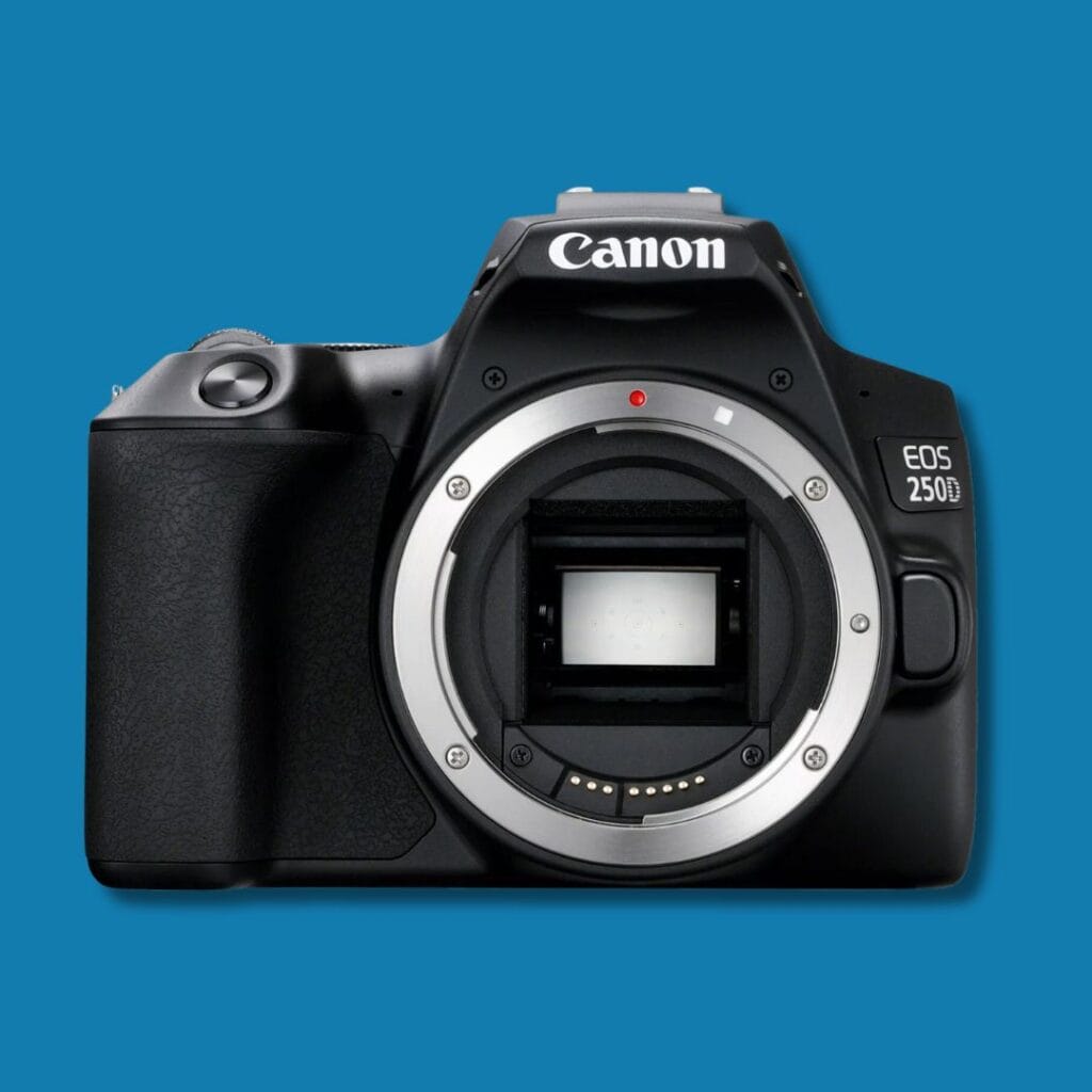 Die Spiegelreflex Canon EOS 250D