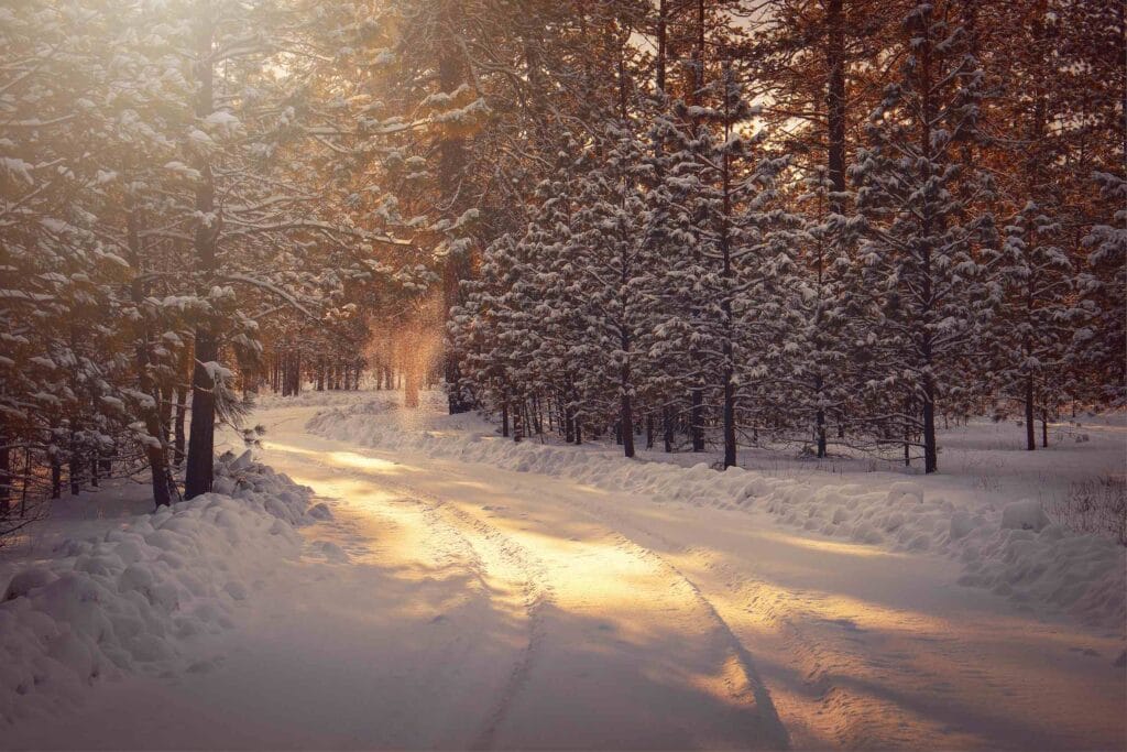 Fotografieren im Winter - Motivideen - Foto: Timothy Eberly/unsplash