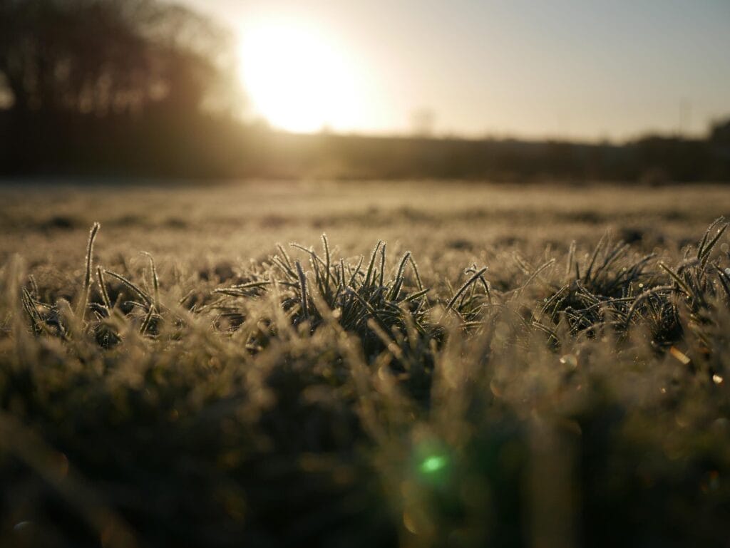 Fotoideen im Winter bei Gegenlicht - Foto: Matt Seymour/unsplash