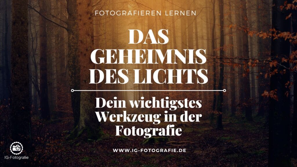 Licht in der Fotografie: Tipps für Fotografie Anfänger