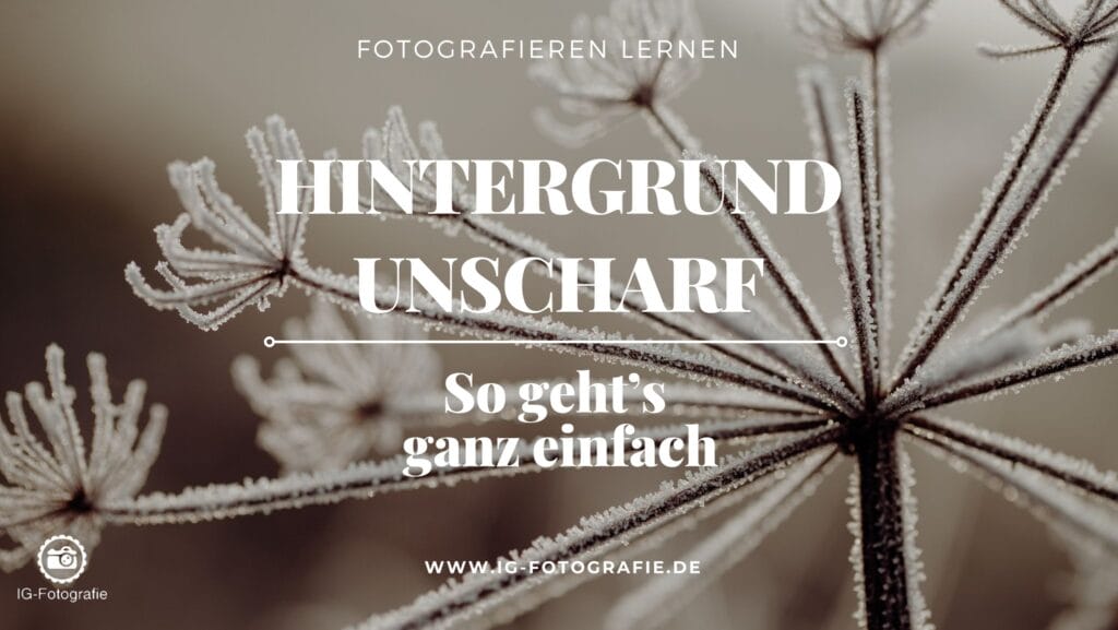 Hintergrund unscharf auf den Fotos - Tipps und Anleitung